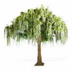 Artificial Wisteria Tree White