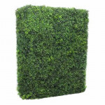 Related to Boxwood Hedge 6'