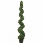 Spiral Topiary